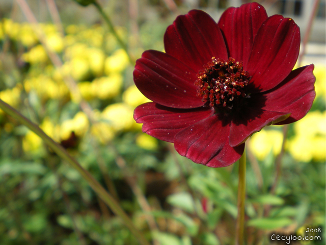 My best pictures of Mother Nature