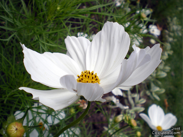 My best pictures of Mother Nature