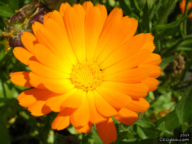 My best pictures of Mother Nature