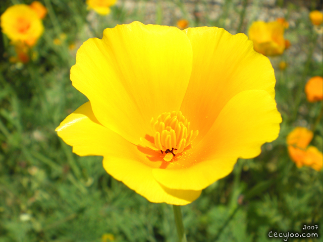 My best pictures of Mother Nature