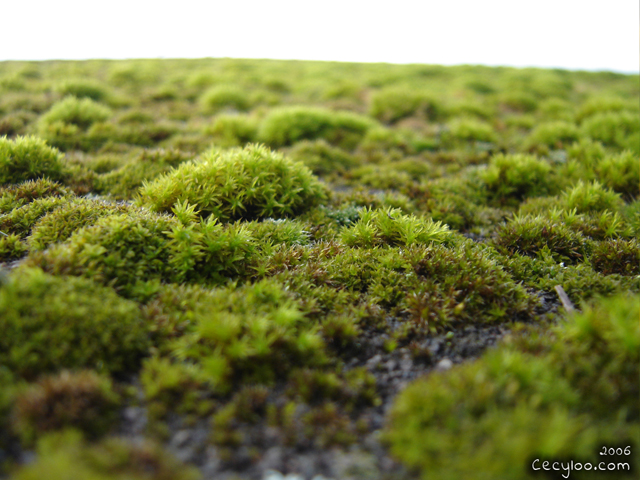 My best pictures of Mother Nature