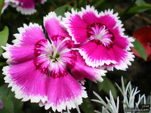 My best pictures of Mother Nature