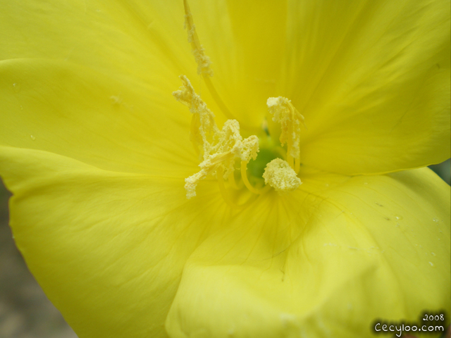 My best pictures of Mother Nature
