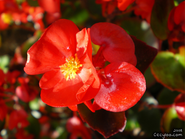 My best pictures of Mother Nature