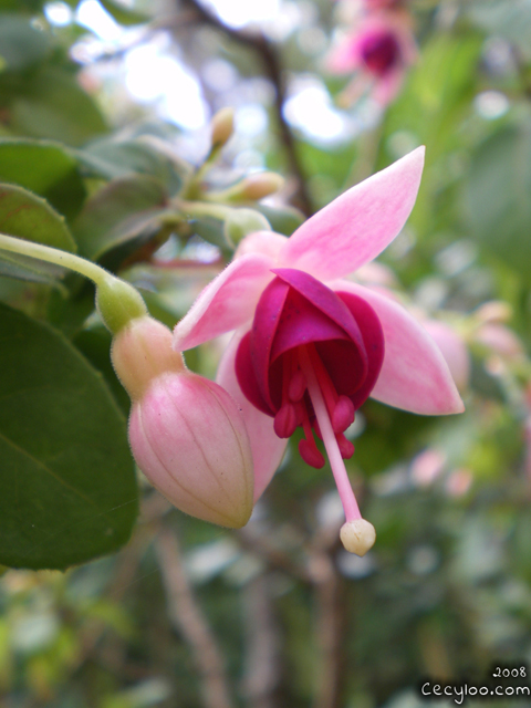 My best pictures of Mother Nature