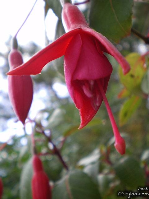 My best pictures of Mother Nature
