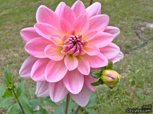 My best pictures of Mother Nature