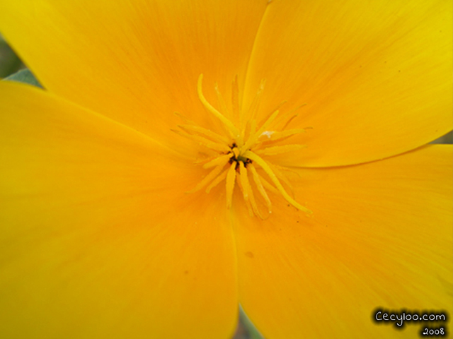My best pictures of Mother Nature
