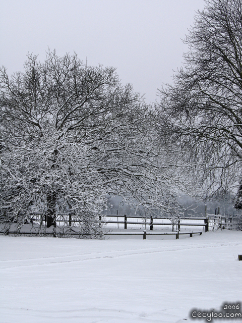 My best pictures of Mother Nature