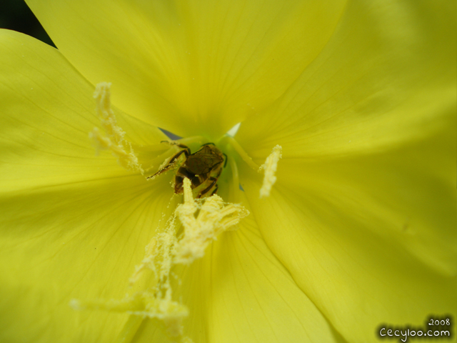 My best pictures of Mother Nature