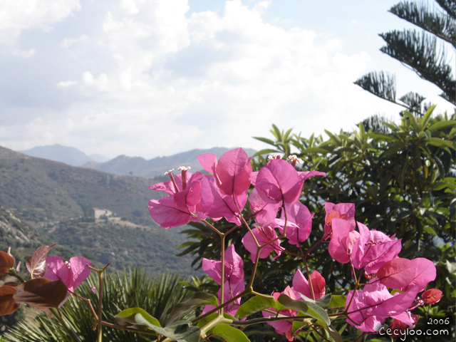 My best pictures of Mother Nature