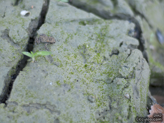 My best pictures of Mother Nature