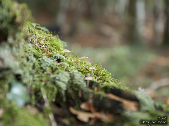My best pictures of Mother Nature