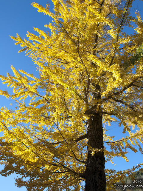 My best pictures of Mother Nature