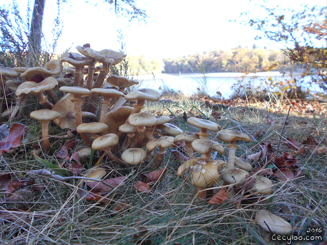 My best pictures of Mother Nature