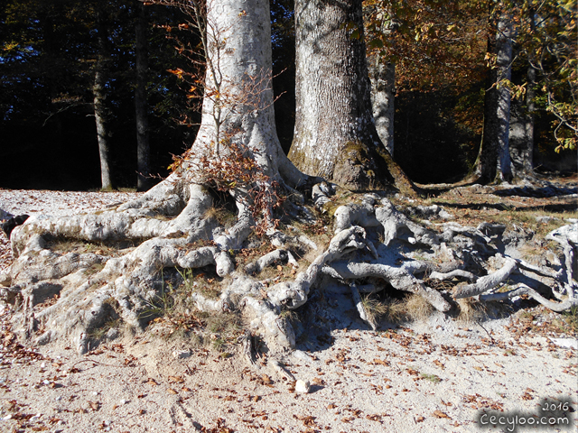 My best pictures of Mother Nature