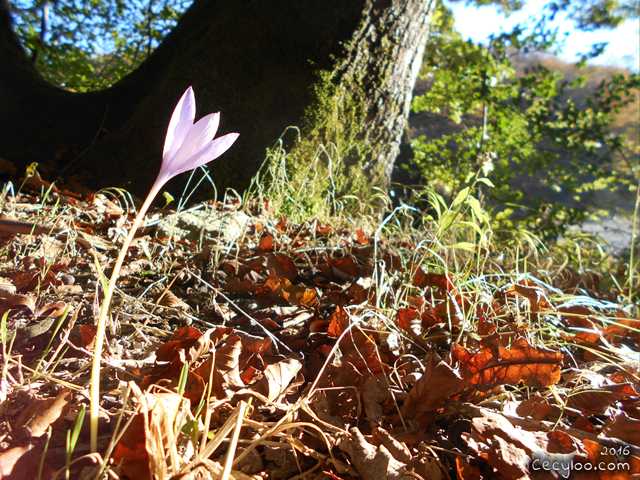 My best pictures of Mother Nature