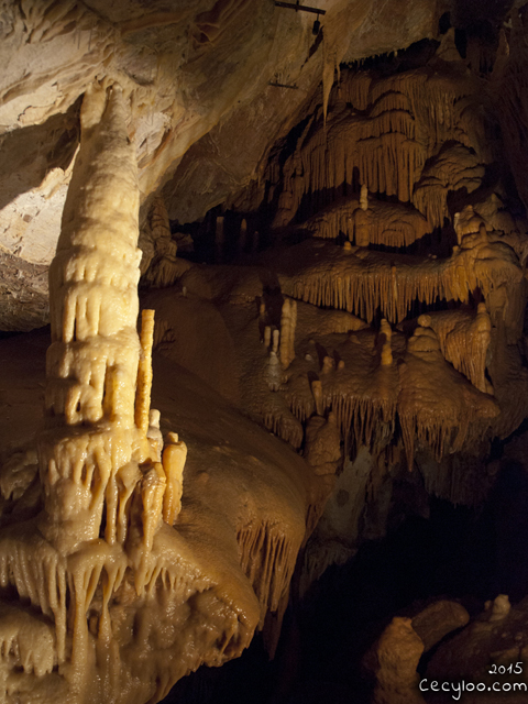 My best pictures of Mother Nature