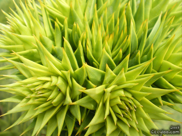 My best pictures of Mother Nature