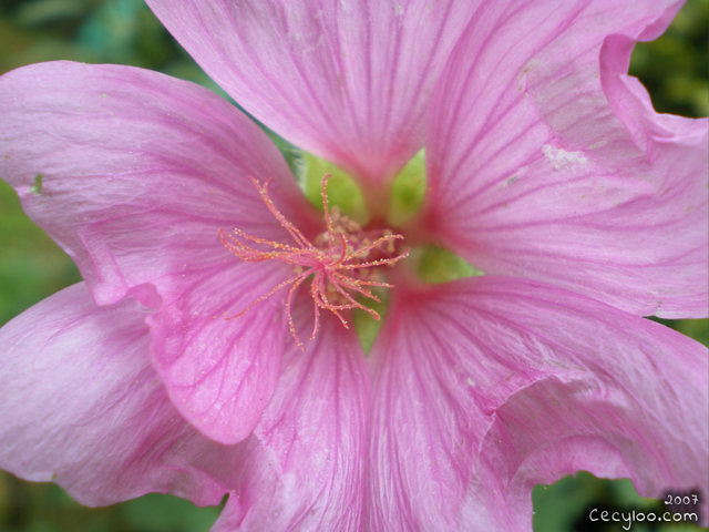 My best pictures of Mother Nature