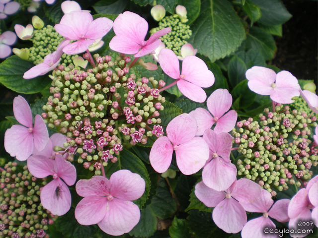 My best pictures of Mother Nature
