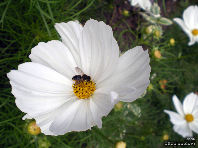 My best pictures of Mother Nature