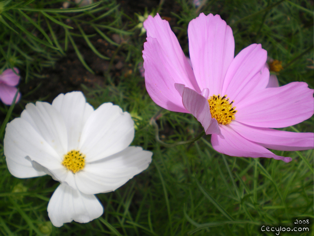 My best pictures of Mother Nature