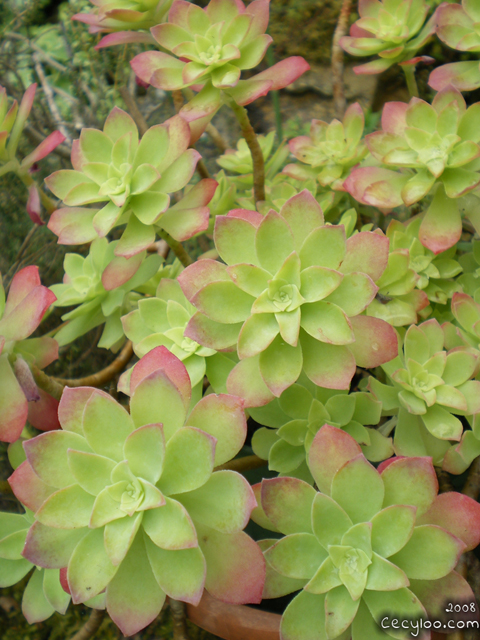 My best pictures of Mother Nature