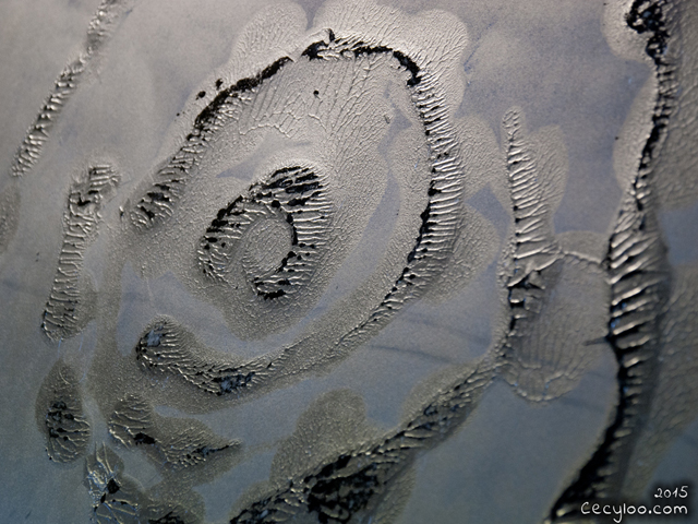 Exhibition at La Passerelle (may 2015)