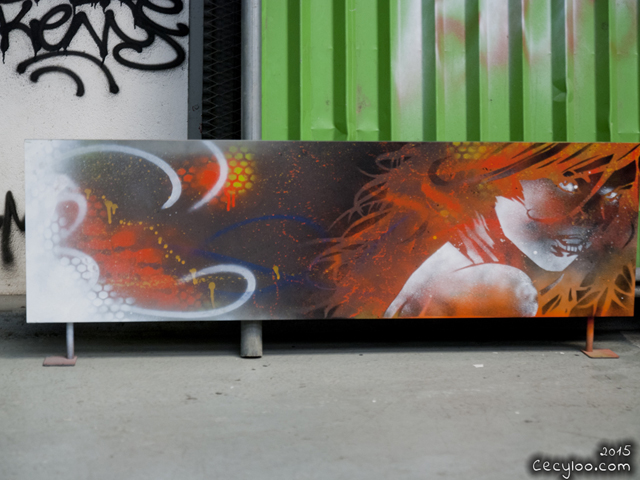 Exhibition at La Passerelle (may 2015)