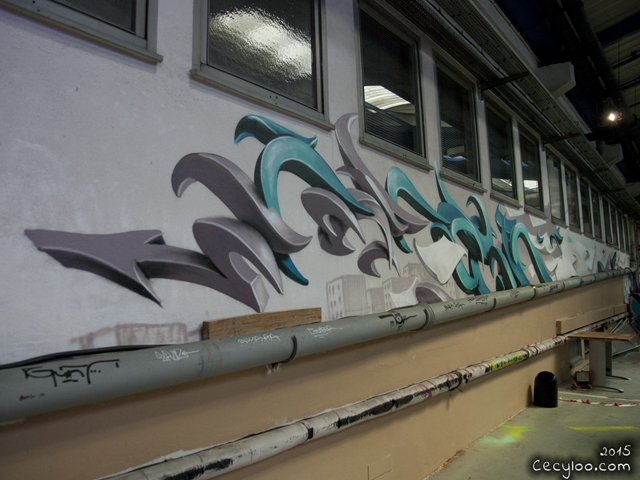 Exhibition at La Passerelle (may 2015)