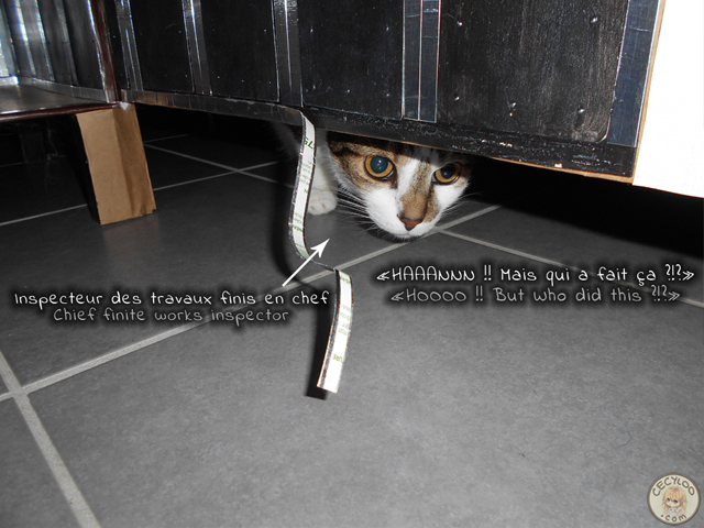 Dollhouse: Fails