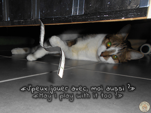Dollhouse: Fails