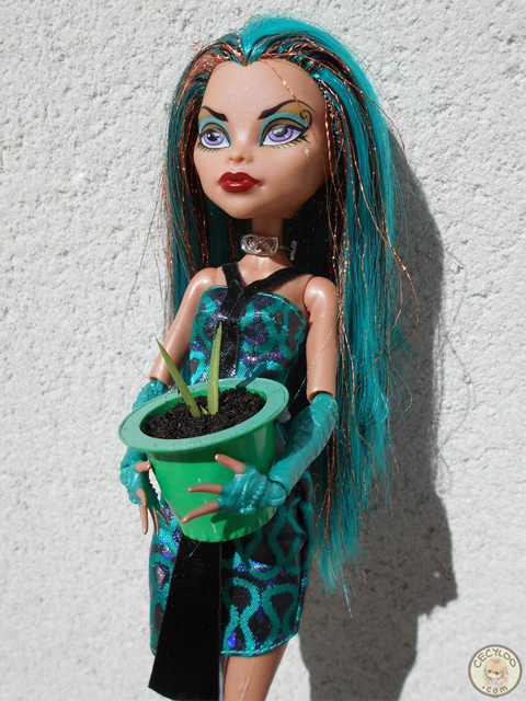 Miniatures : Aloe vera (Plants)