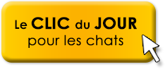 Clic Chats