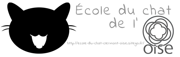 L'école du chat de l'Oise