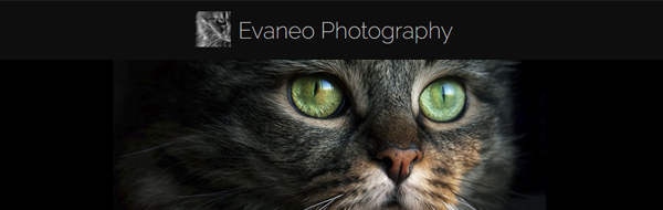 Evaneo